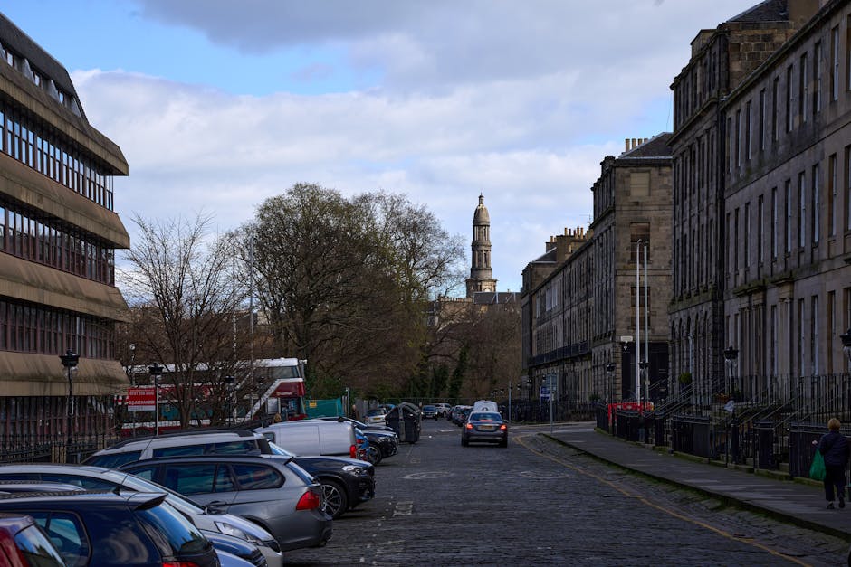 活化保育：香港文化中的理性報告