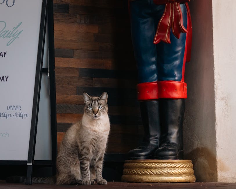 足球赛前分析：洞悉赛事背后的文化震撼