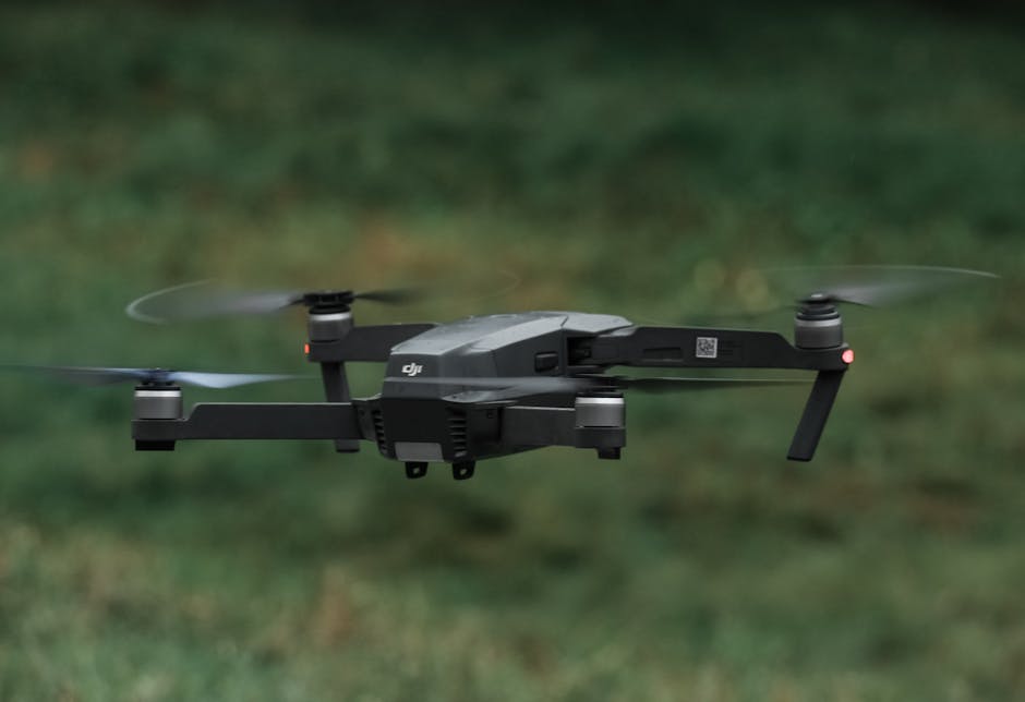 國際救援：技術視角下的運作與實務解析